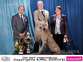 honden fokkers en hond foto's