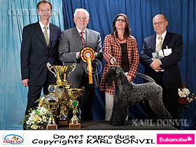 honden fokkers en hond foto's
