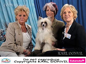dogs breeders dog pictures