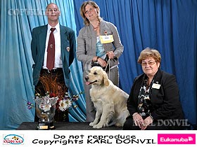 honden fokkers en hond foto's