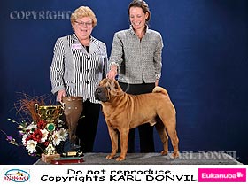 honden fokkers en hond foto's