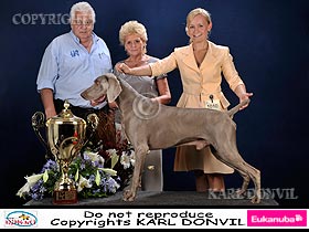 honden fokkers en hond foto's