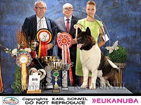 dogs breeders dog pictures